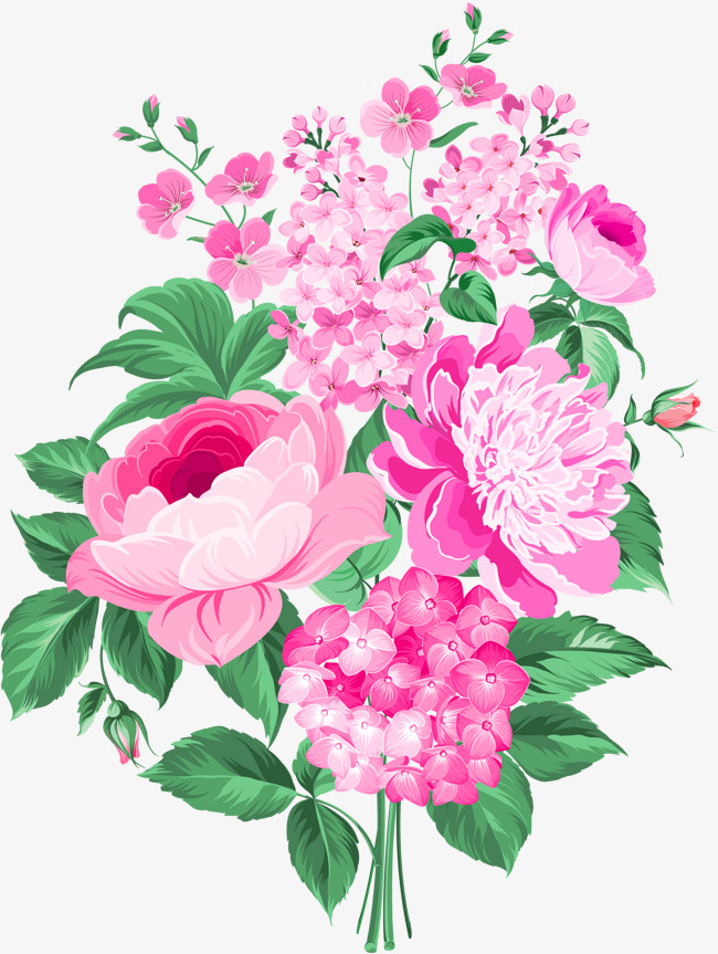 Peony Flower Vector at GetDrawings | Free download