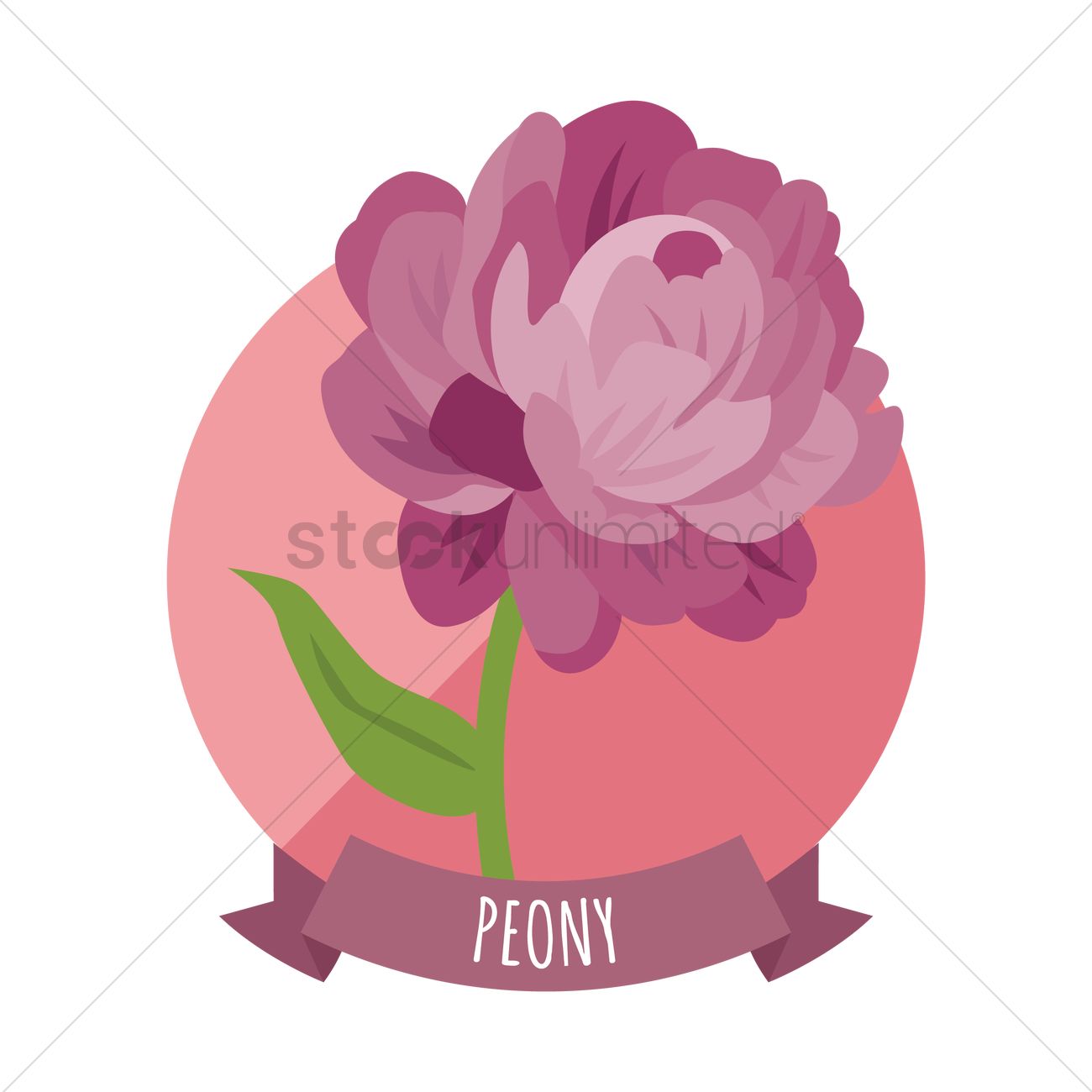 1300x1300 Free Peony Vector Image