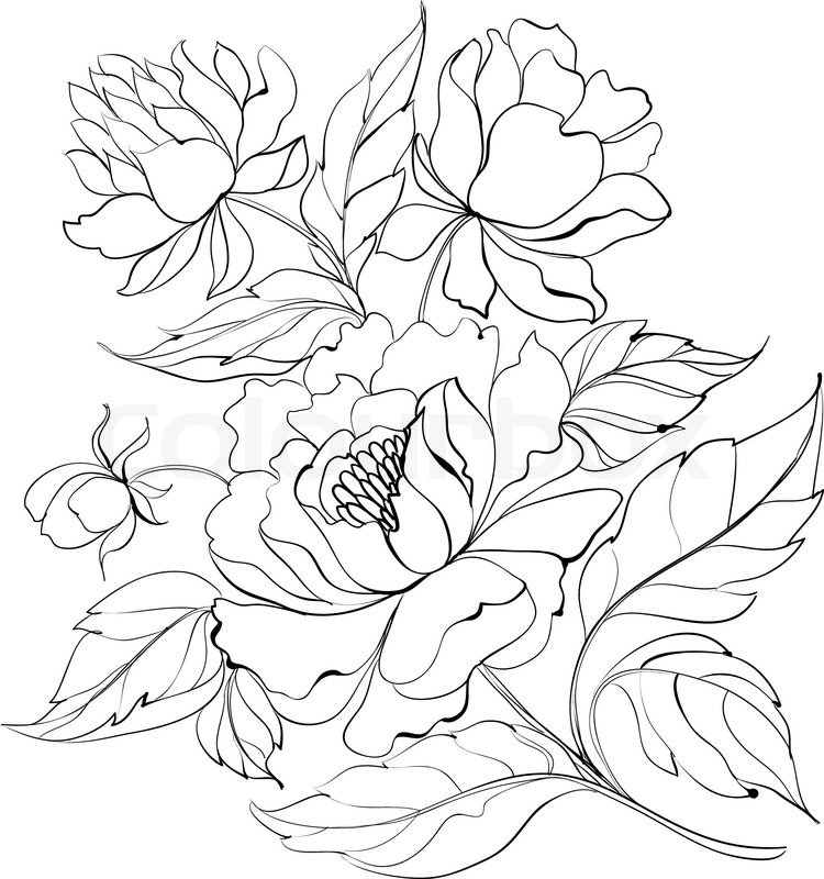 750x800 Ink Painting Of Peony Stock Vector Colourbox
