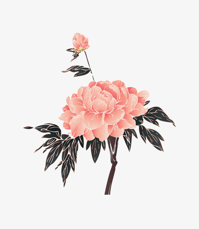 650x747 Vector Pink Realistic Country Flower Peony, Flower Vector, Vector