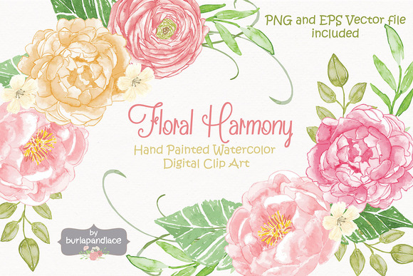 580x387 Watercolor Clipart Peony Vector