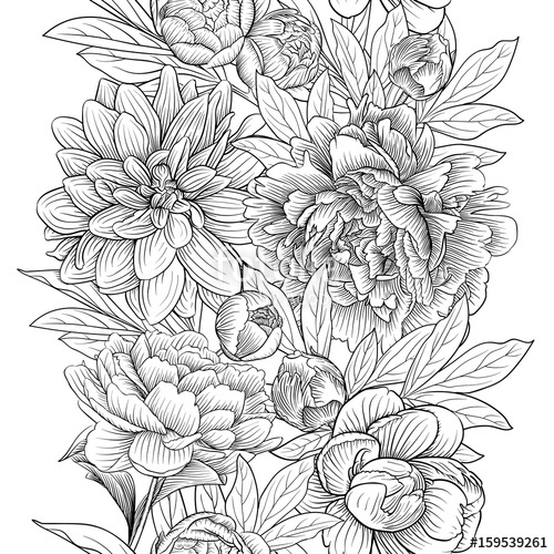 500x500 Peony Vector Border Stock Image And Royalty Free Vector Files On