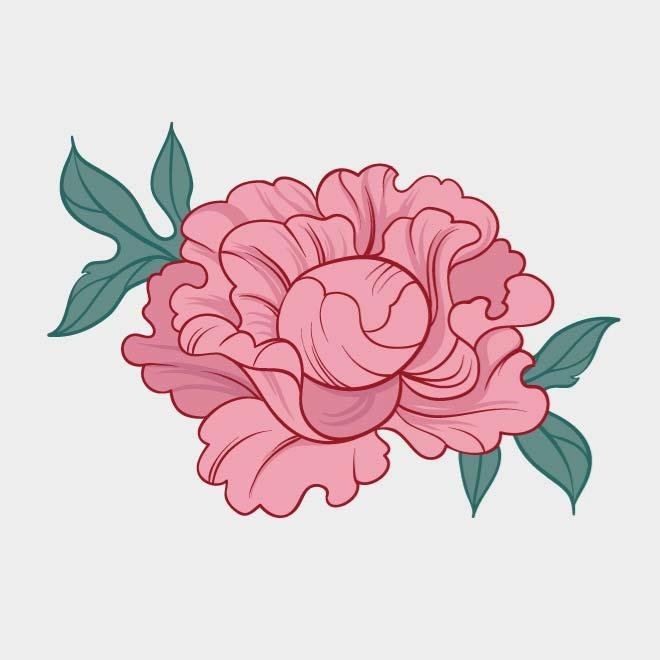 660x660 Free Peony Vector Image.eps Psd Files, Vectors Amp Graphics