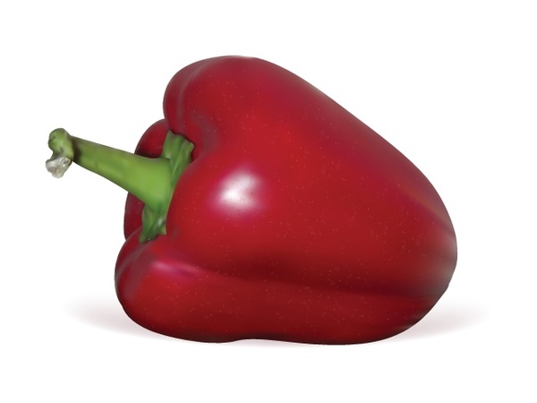 600x450 Red Pepper Vector Design With Realistic Style Free Vector In Adobe