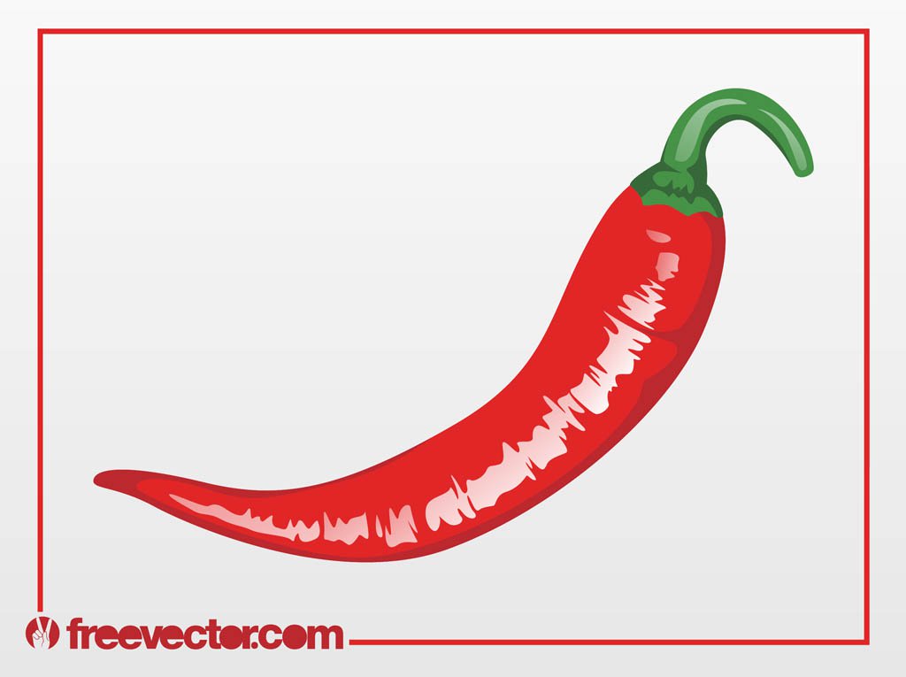 1024x765 Chili Pepper Vector Vector Art Amp Graphics