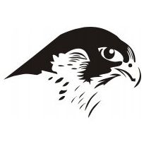 204x204 68 Best Falcon Images Birds, Hawks And Kite