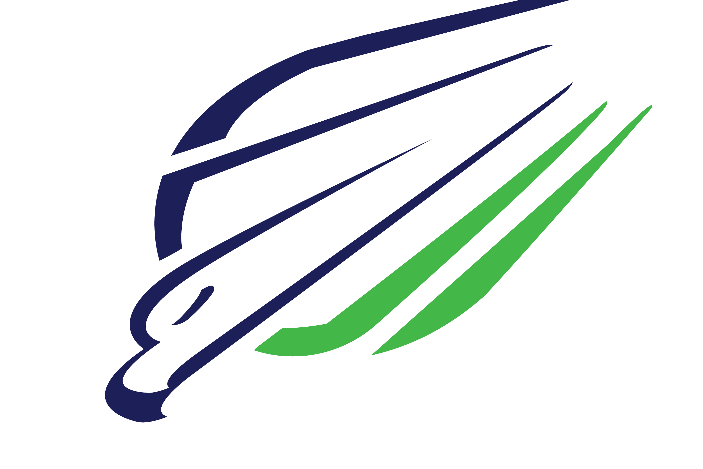 2736x1828 Peregrine Falcon Logos