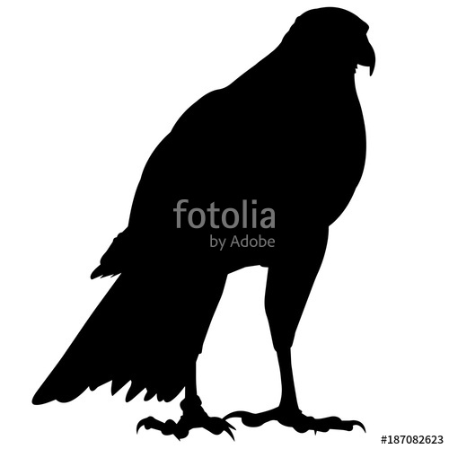 500x500 Peregrine Falcon Silhouette Vector Graphics Stock Image And