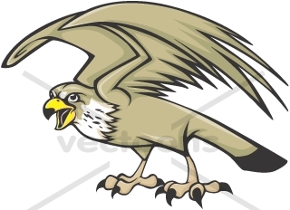 320x232 Serious Peregrine Falcon