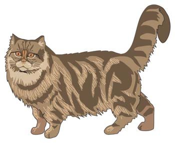 350x287 Free Cat Vector 43 Psd Files, Vectors Amp Graphics