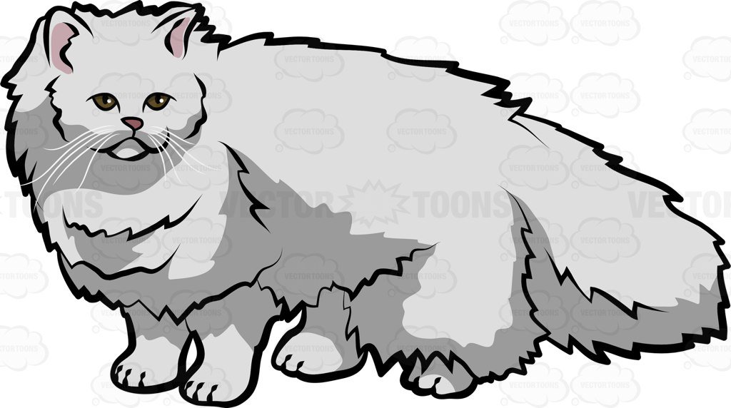 1024x572 A Traditional Persian Cat Clipart By Vector Toons