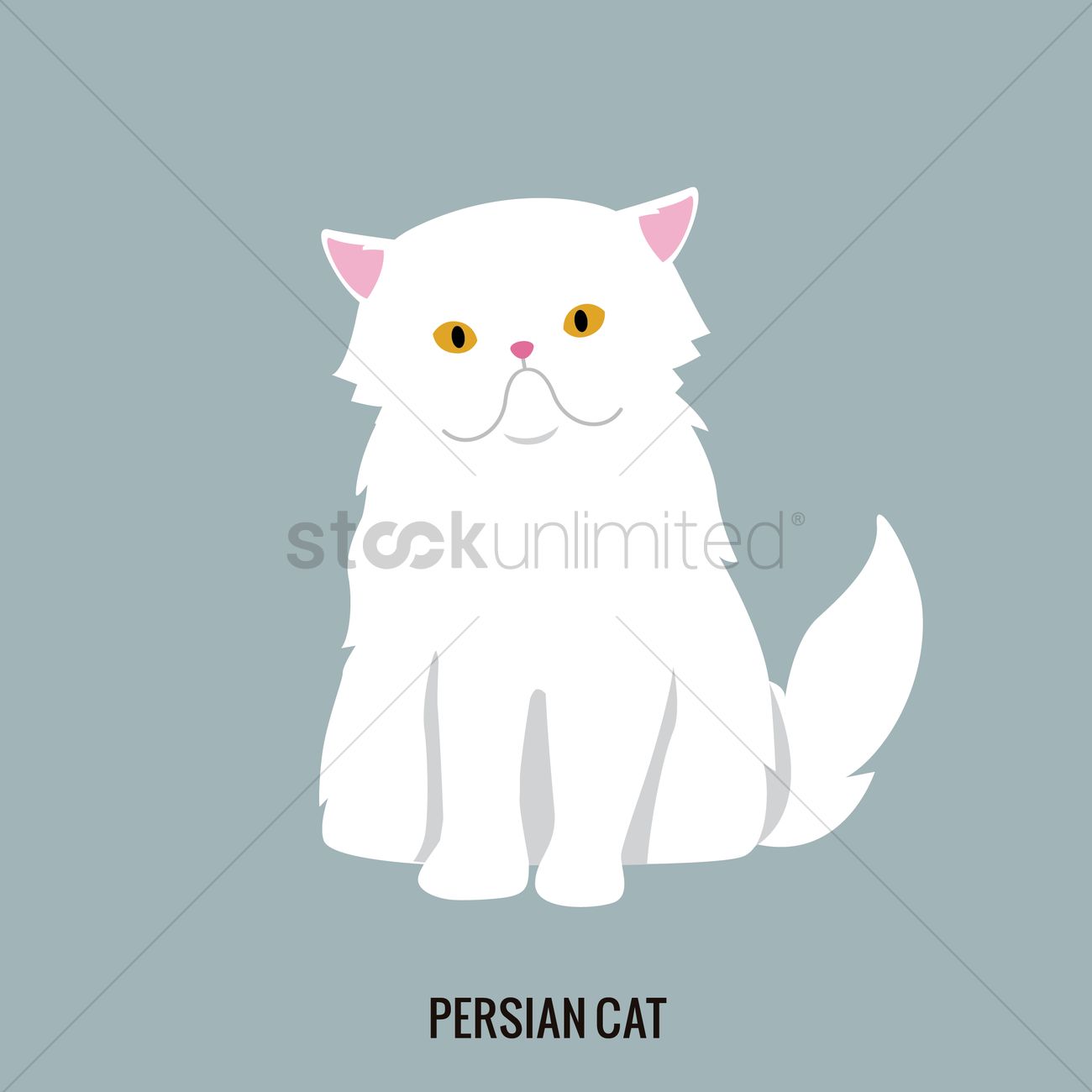 1300x1300 Persian Cat Vector Image