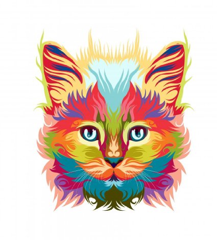 425x469 Buy Persian Cat Vector