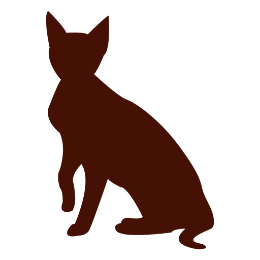 512x512 Collection Of Free Cat Vector Persian. Download On Ubisafe