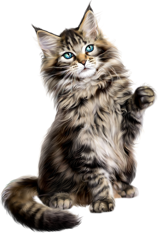 550x800 Collection Of Free Vector Cat Persian. Download On Ubisafe
