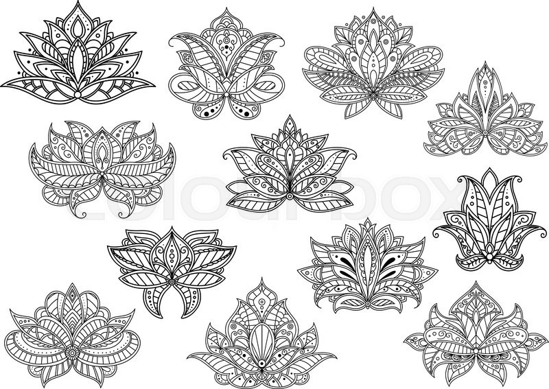 800x567 Oriental Outline Paisley Flowers With Ethnic Persian, Indian And