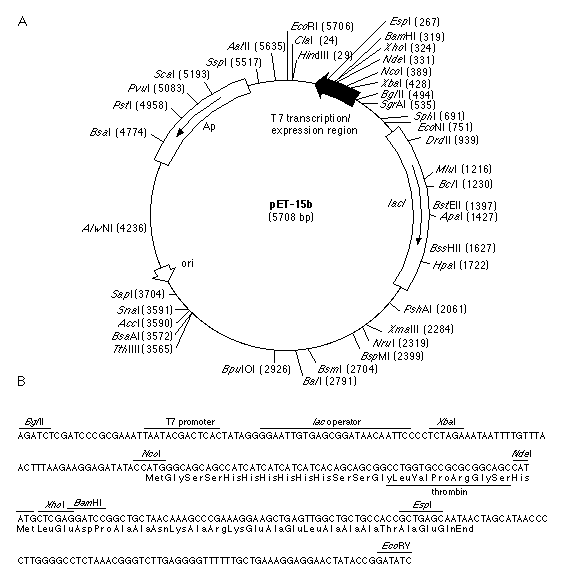 563x583 Current Protocols Library