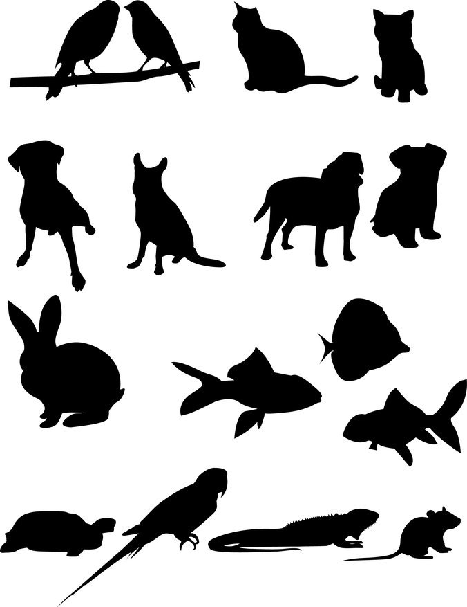 676x877 Free 16 Pet Vector Silhouettes Psd Files, Vectors Amp Graphics