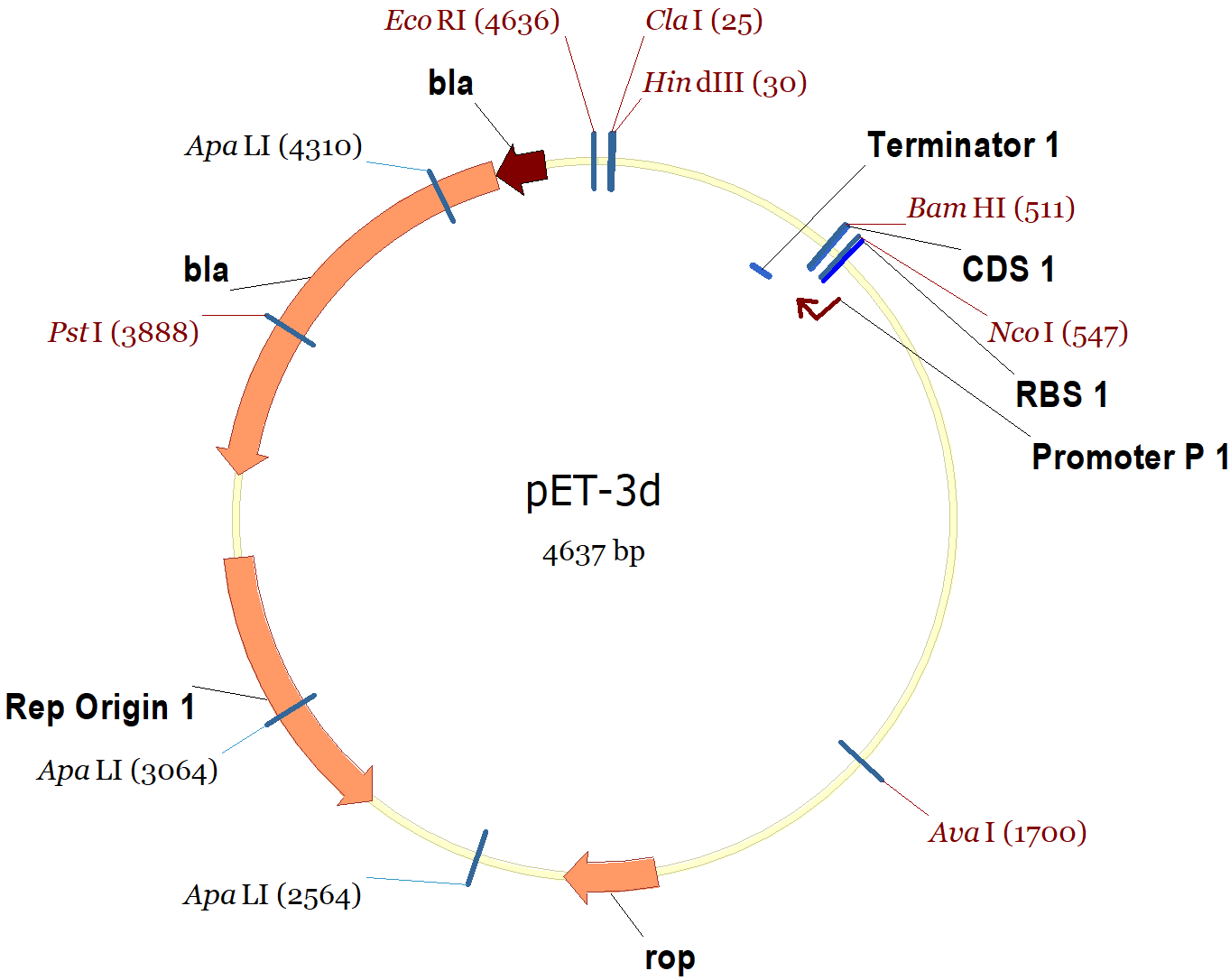 1363x1086 Pet 3d Vector Map And Sequence