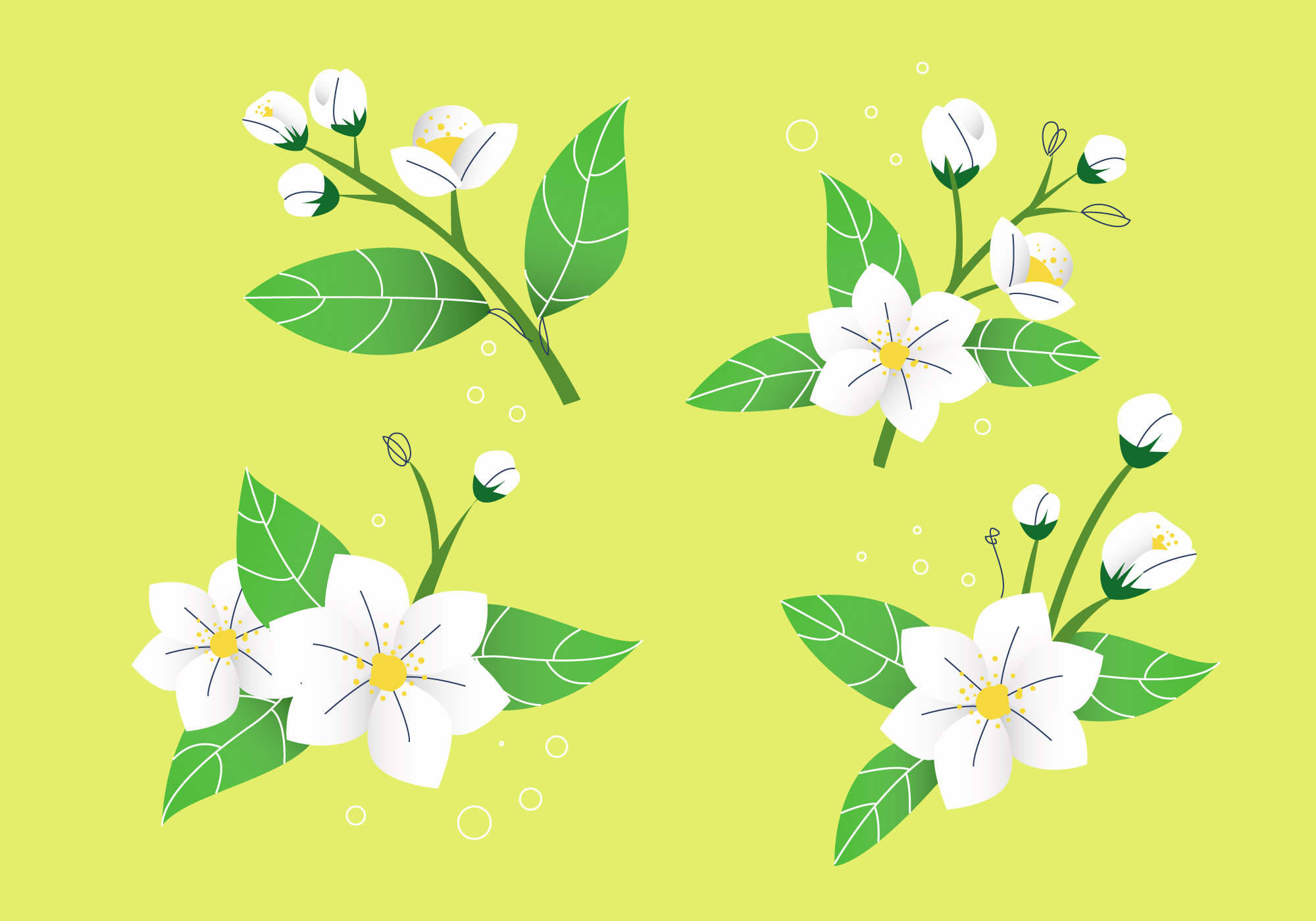 2000x1400 Petals Free Vector Art