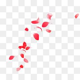 260x260 Vector Png Vectores Y Archivos Psd Descarga