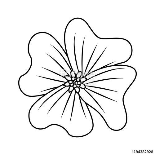 500x500 Flower Periwinkle Delicate Decoration Floral Nature Petals Vector