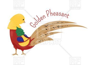400x274 Golden Pheasant Vector Image Vector Artwork Of Plants And