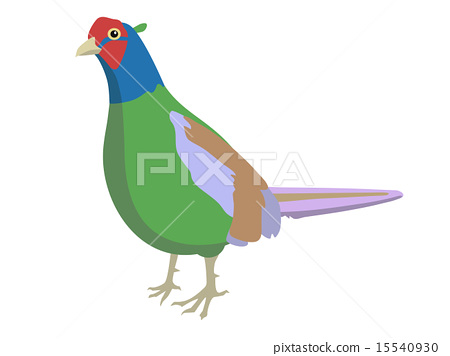 450x356 Pheasant, Vector, Vectors