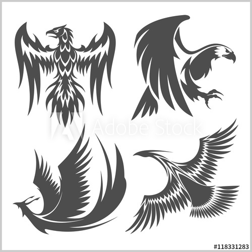 500x500 Flying Eagle, Peacock And Pheasant Vector Logo Icons Showing
