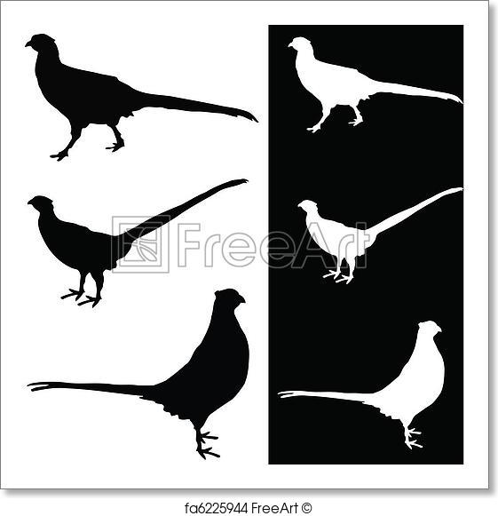 561x581 Free Art Print Of Pheasant Vector Silhouette Freeart Fa6225944