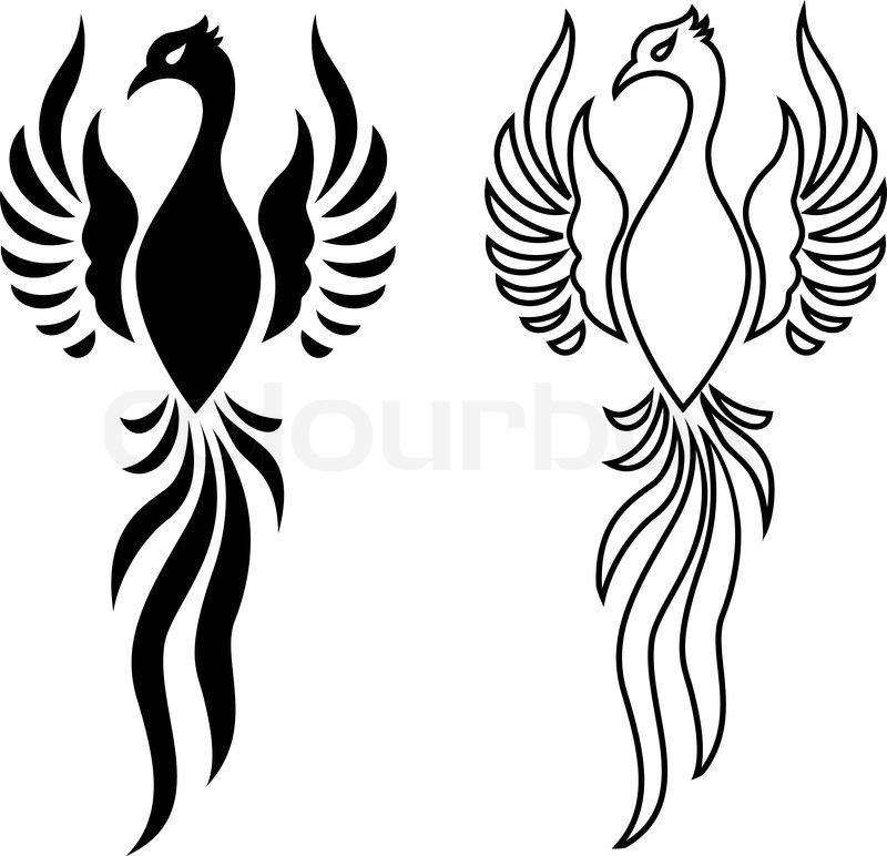800x772 Phoenix Bird Tattoo Stock Vector Colourbox