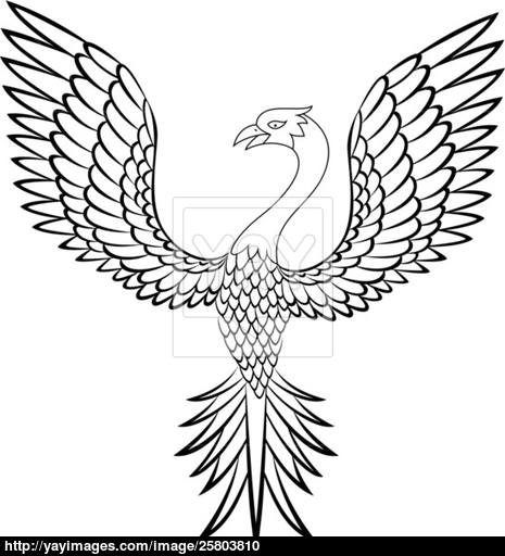 465x512 Phoenix Bird Vector