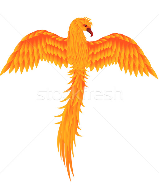 512x600 Phoenix Bird Vector Illustration Surya Zaidan (Dagadu) ( 2303532