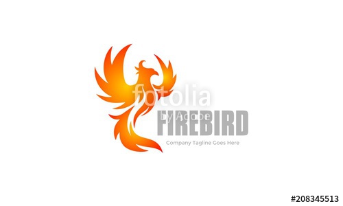 500x300 Flame Bird