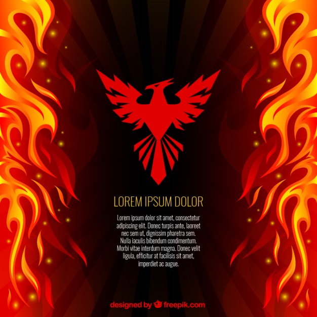 626x626 Phoenix Vectors, Photos And Psd Files Free Download
