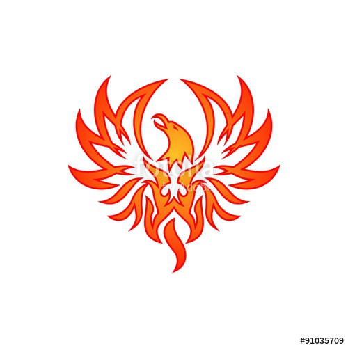 500x500 Phoenix Vector Template Stock Image And Royalty Free Vector Files