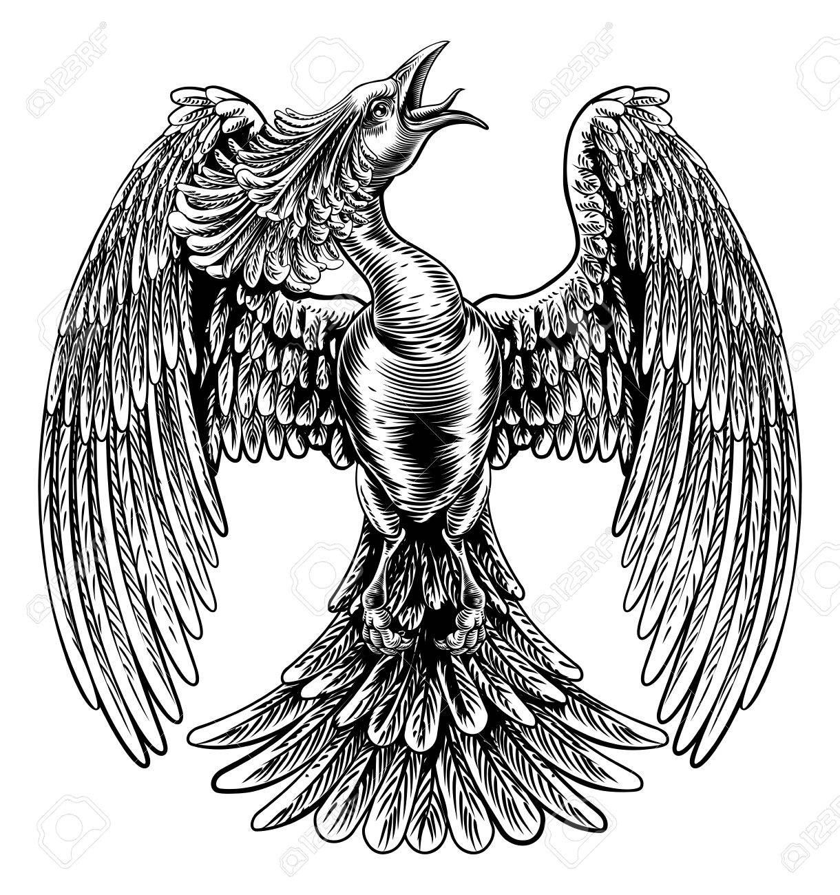 1220x1300 Drawn Phoenix Vector