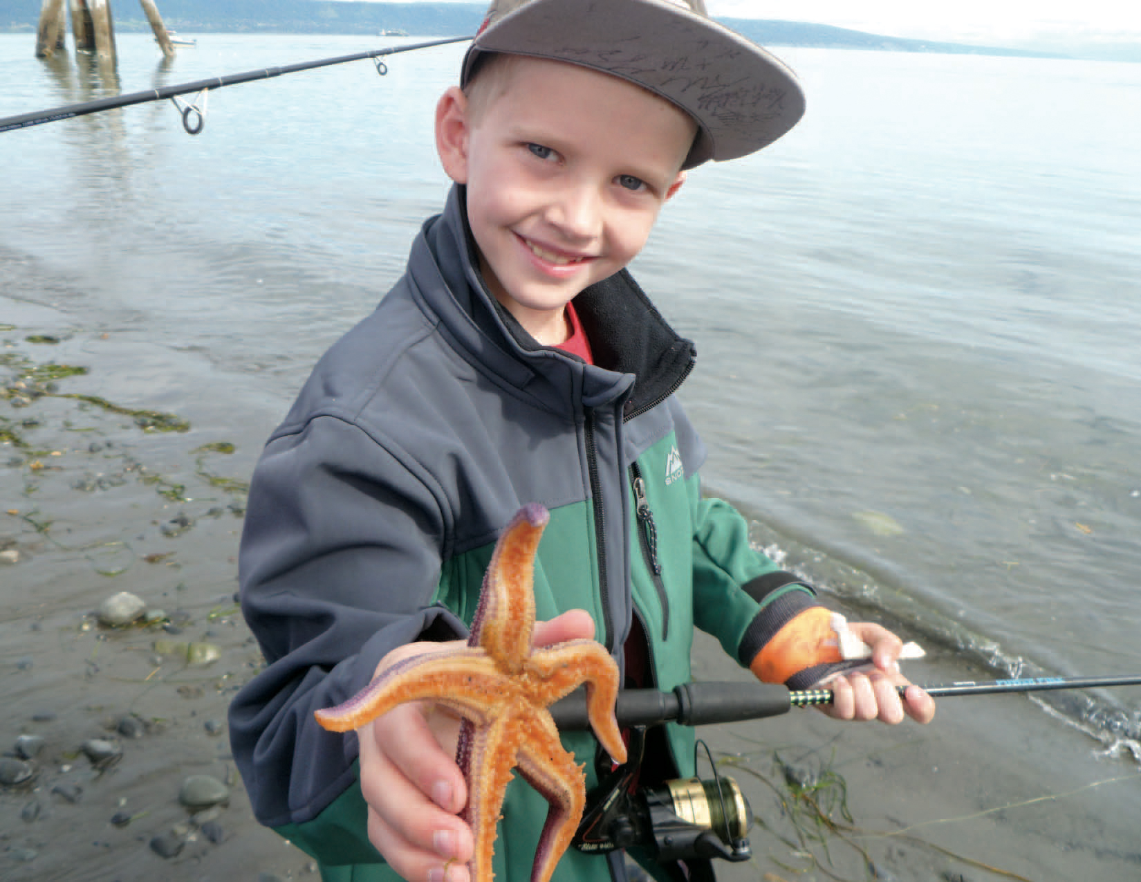 1650x1275 Zoe Lowney Photorealistic Vector Illustration