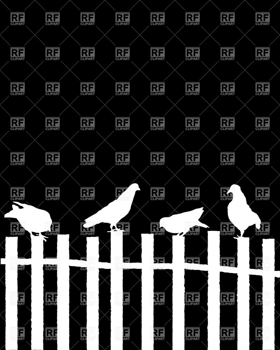 960x1200 Silhouettes Of Pigeons Sitting On Wooden Fence Vector Image