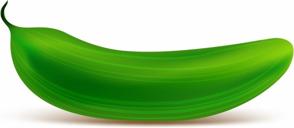 600x261 Pickle Cucumber Free Vector Download (68 Free Vector) For