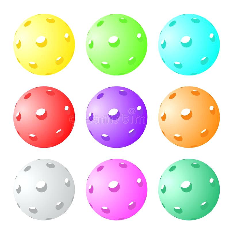 800x800 Pickleball Set Pickle Ball Paddle Set Drycleaningnearme.co