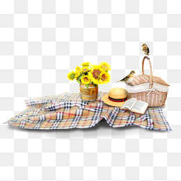 260x261 Picnic Vector Png Images Vectors And Psd Files Free Download