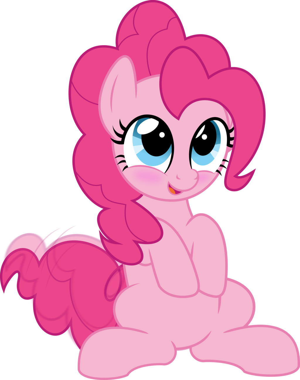 1024x1298 Mlp Vector