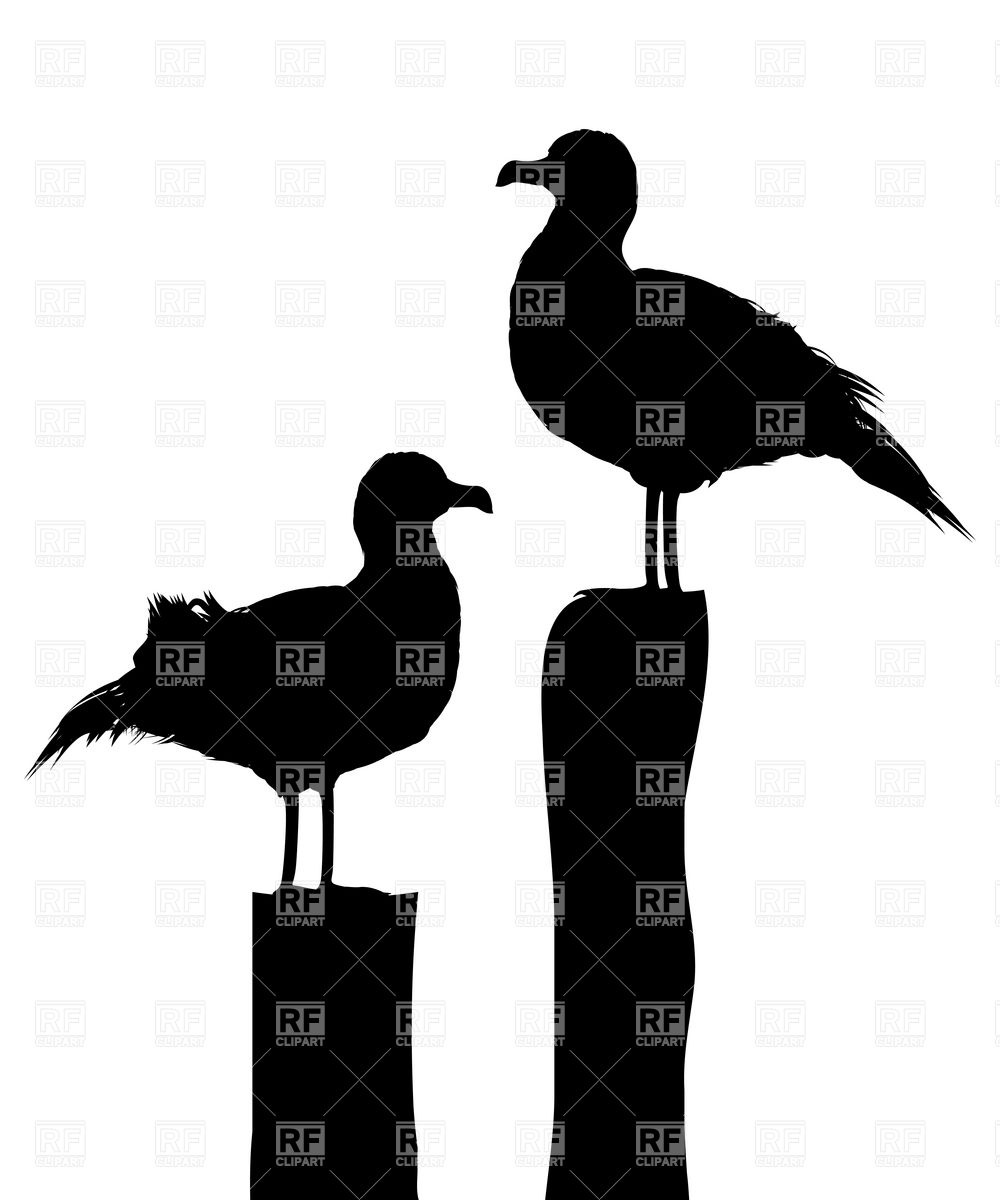 1000x1200 Silhouettes Of Two Sea Gulls Standing On Pier Vector Image
