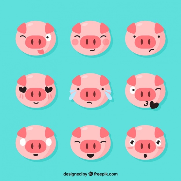 626x626 Pig Face Vectors, Photos And Psd Files Free Download