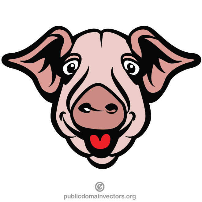 660x660 Pig Face Vector Clip Art