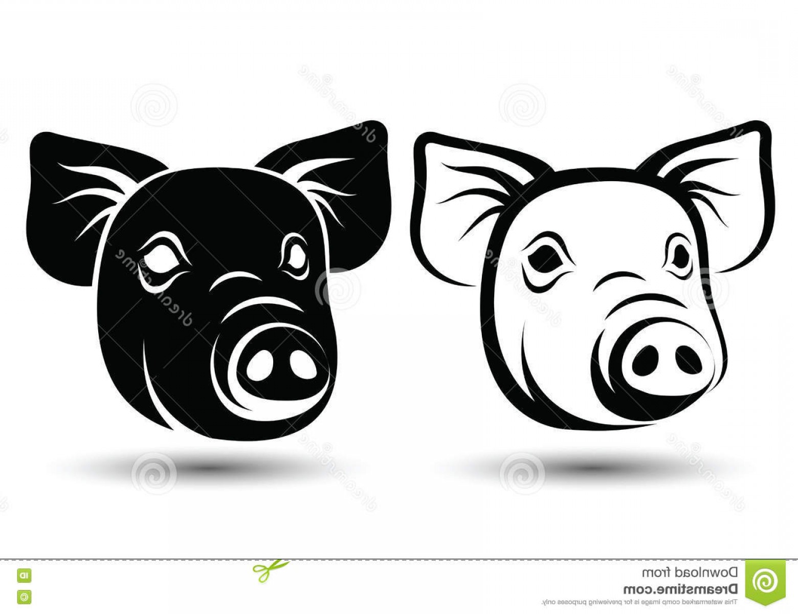 1560x1200 Vector Black And White Pig Face Shopatcloth