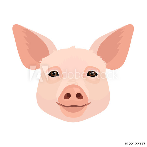 500x500 Vector Young Pig Face Icon