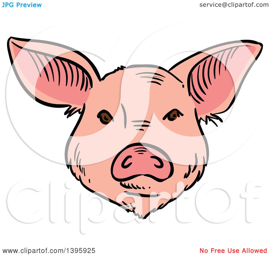 1080x1024 Clipart Of A Sketched Pig Face