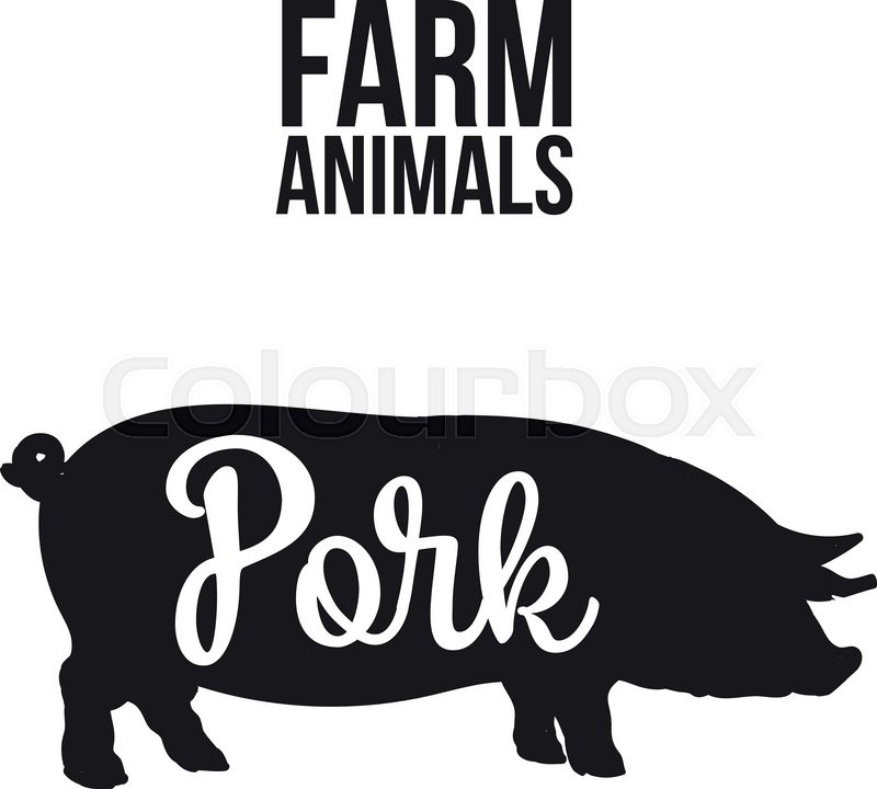 Pig Vector
